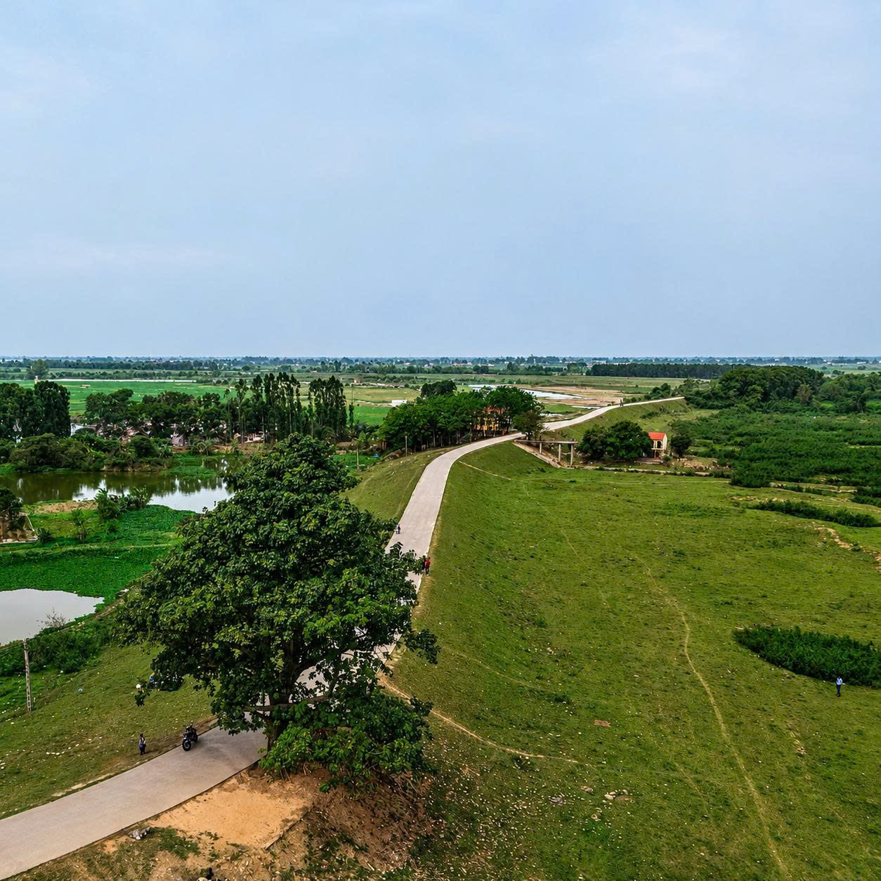 Gợi ý cho không gian sống trong lành hơn